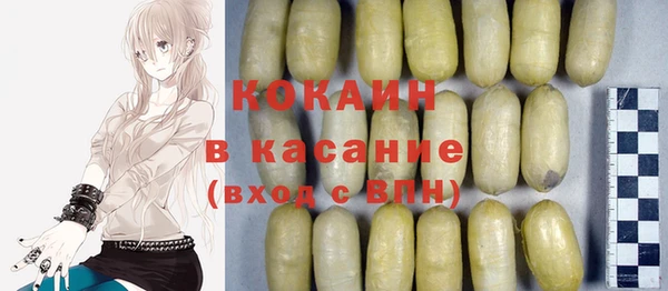 твердый Арсеньев