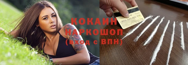 винт Аркадак