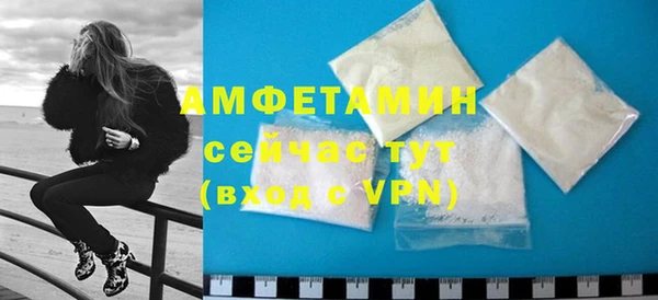 твердый Арсеньев