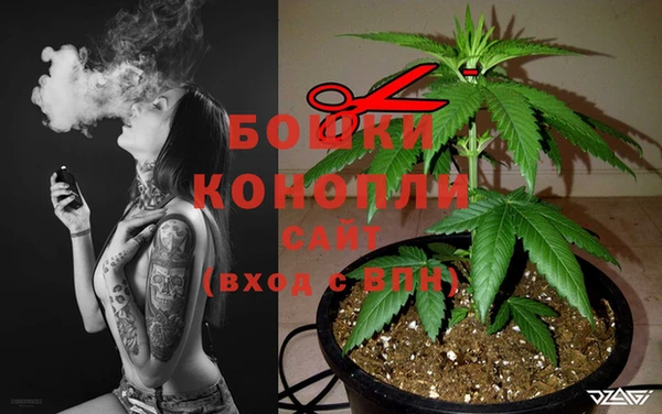 винт Аркадак