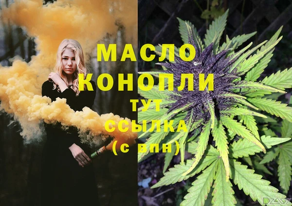 твердый Арсеньев