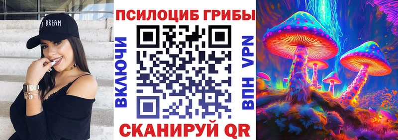 наркота  Невинномысск  Псилоцибиновые грибы Psilocybine cubensis 