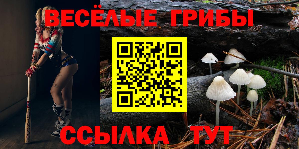 Галлюциногенные грибы MAGIC MUSHROOMS  купить закладку  Невинномысск  Вход с VPN 